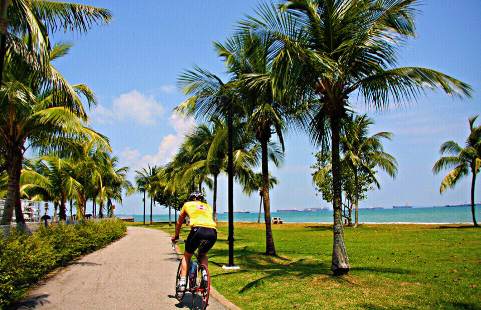 Green Spaces In The Little Red Dot