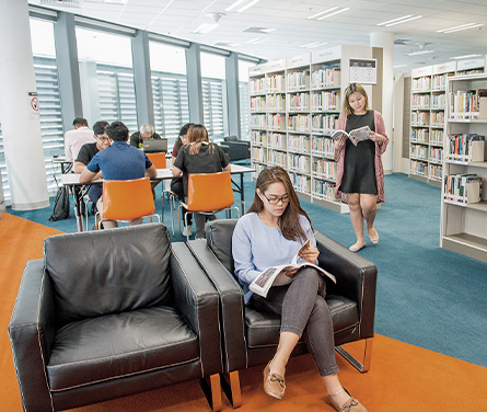 The Kallang Library